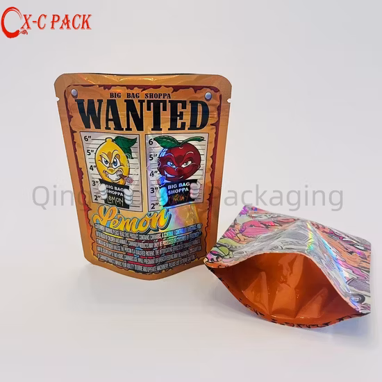 Piccola custodia stand-up in Mylar con lamina olografica e cerniera